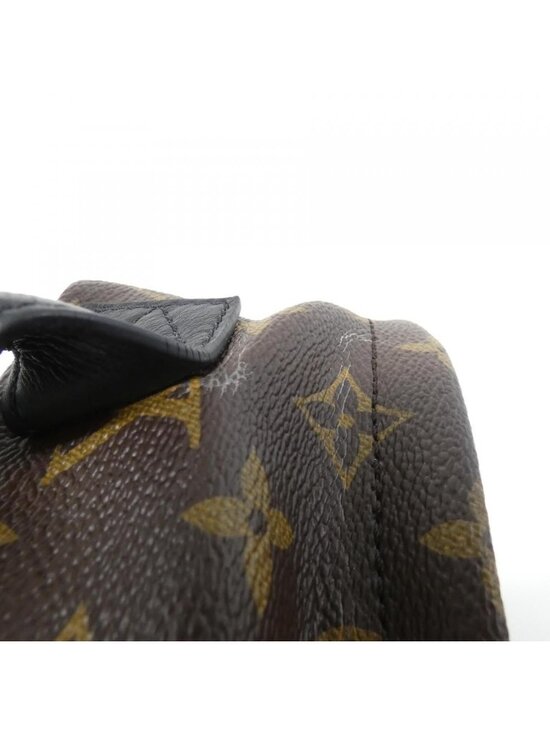 Louis Vuitton Monogram Reverse Palm Spring Backpack PM main image 5